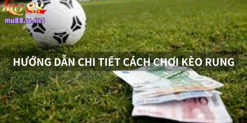 Hướng dẫn chi tiết cách tham gia cược running ball chuẩn xác